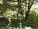 2007 - Calabria_016.JPG