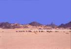 Fabrizio_deserto030.jpg