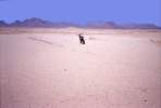 Fabrizio_deserto032.jpg