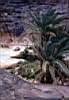 Fabrizio_deserto046.jpg