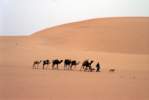 Fabrizio_deserto067.jpg