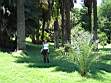 Roma 12_06_2004 004.JPG
