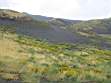 385_Etna naxos e monte.JPG