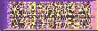 Banner166.jpg