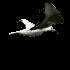 Gif 0083.gif