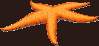 Gif 0094.gif