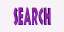 Search 40.gif